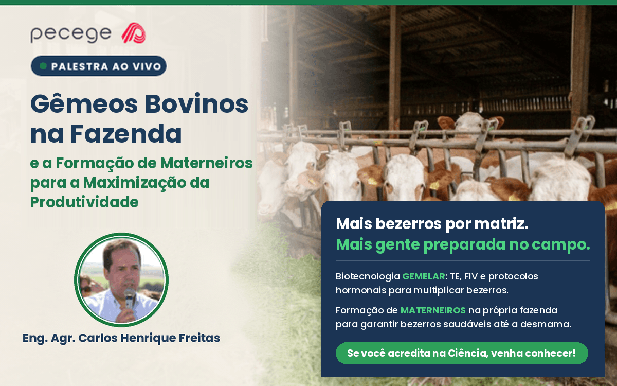 Gêmeos Bovinos na Fazenda e a Formação de Materneiros para Maximização da Produtividade