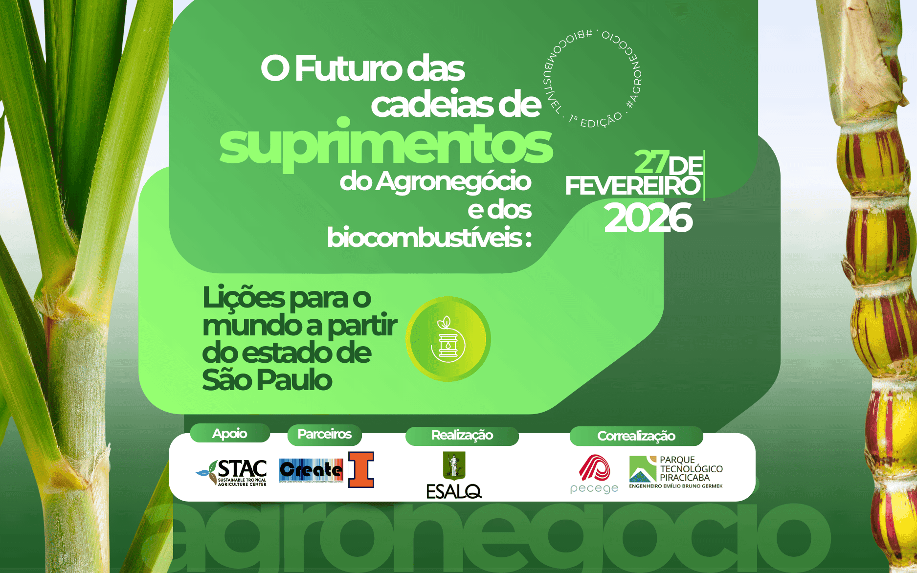 Workshop O Futuro da Cadeia de Suprimentos do Agronegócio e dos Biocombustíveis